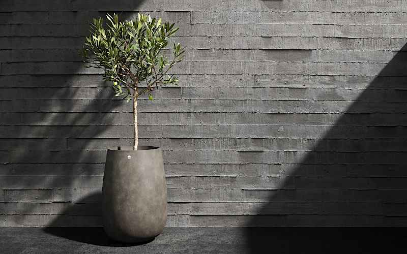 Planted Pot Mondo High Cosapots